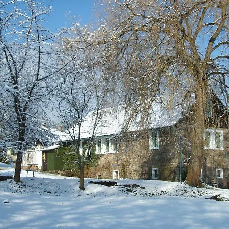 Apartman Dvorecna Loučovice Dış mekan fotoğraf