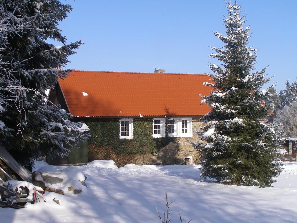 Apartman Dvorecna Loučovice Oda fotoğraf