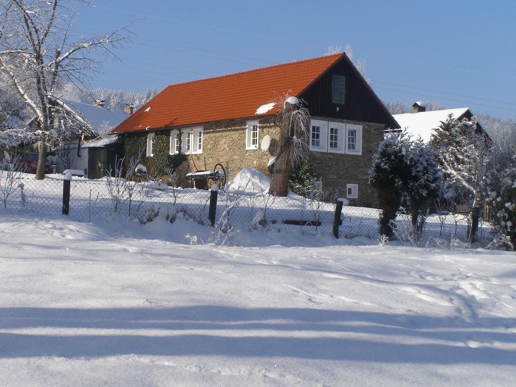 Apartman Dvorecna Loučovice Dış mekan fotoğraf
