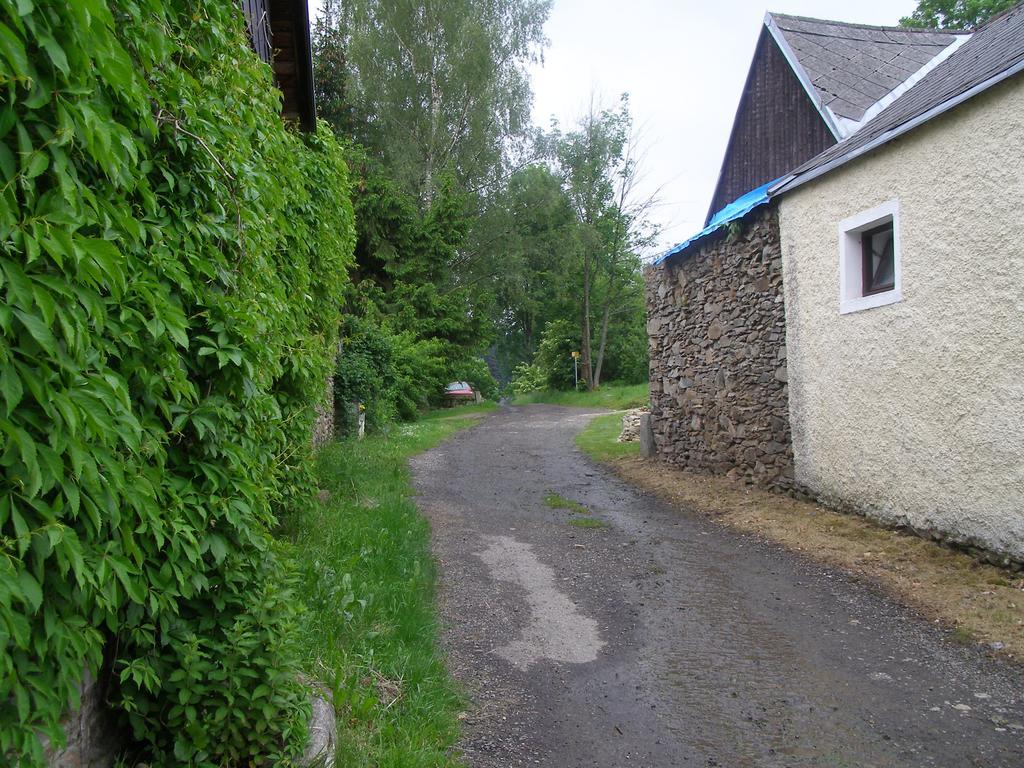 Apartman Dvorecna Loučovice Dış mekan fotoğraf