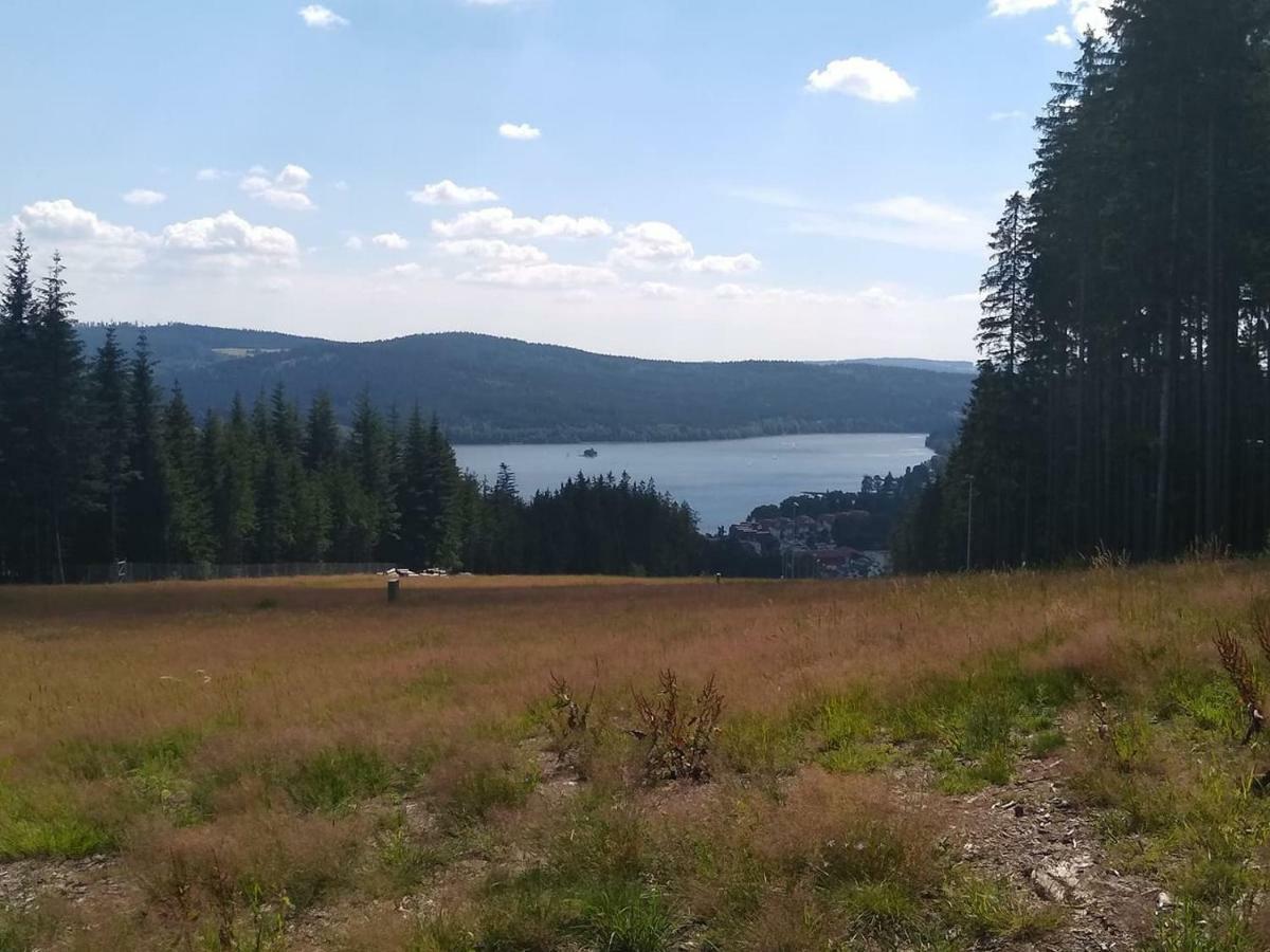 Apartman Dvorecna Loučovice Dış mekan fotoğraf