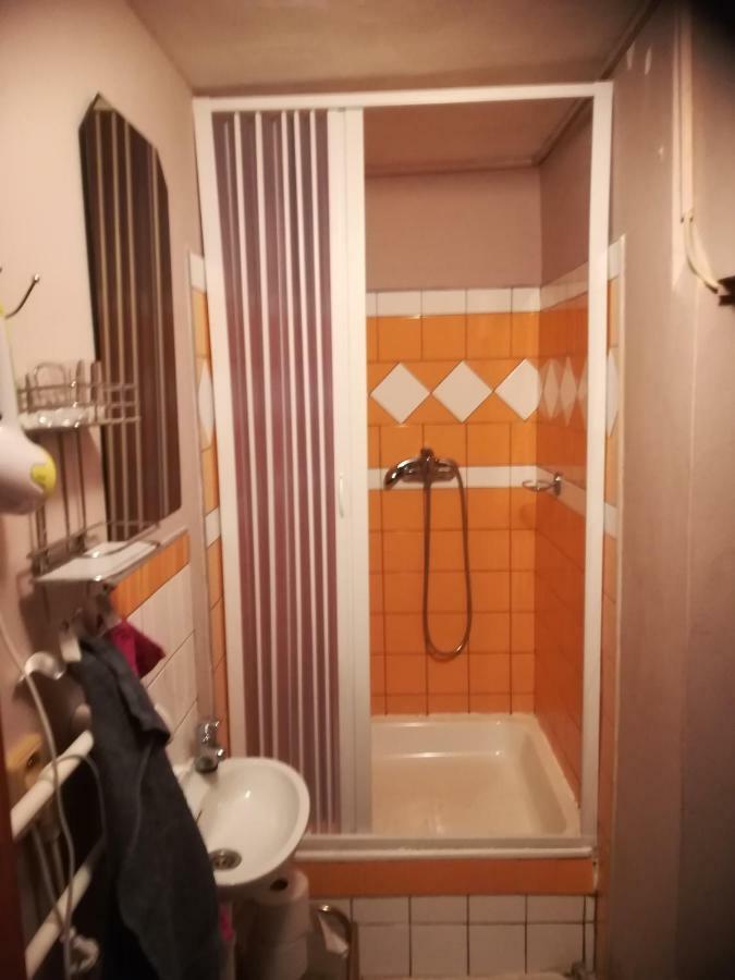 Apartman Dvorecna Loučovice Dış mekan fotoğraf