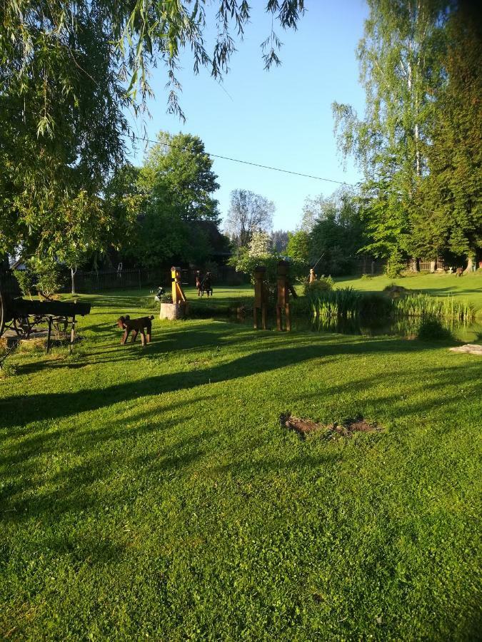 Apartman Dvorecna Loučovice Dış mekan fotoğraf